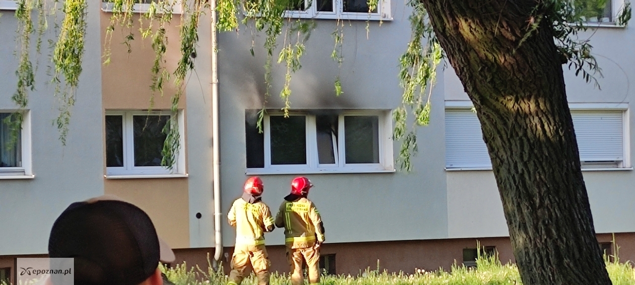 Pożar mieszkania przy ul. Promyk w Poznaniu. | fot. Czytelnik