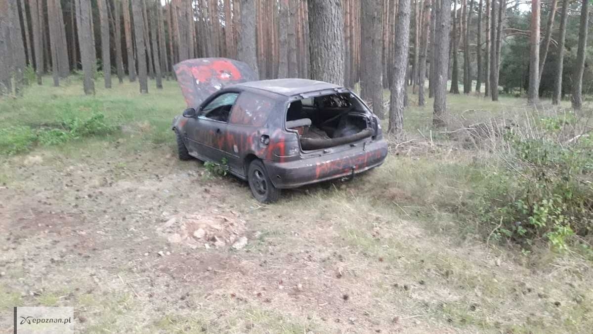 fot. policja