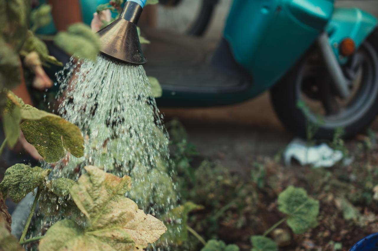 Zdjęcie ilustracyjne | fot. Jonathan Kemper / unsplash.com