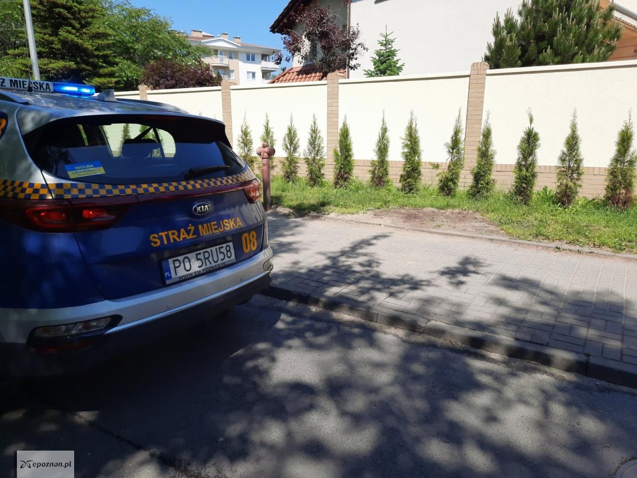 fot. Straż Miejska