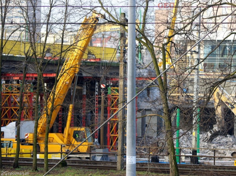 fot. Włodzimierz  Hoppel