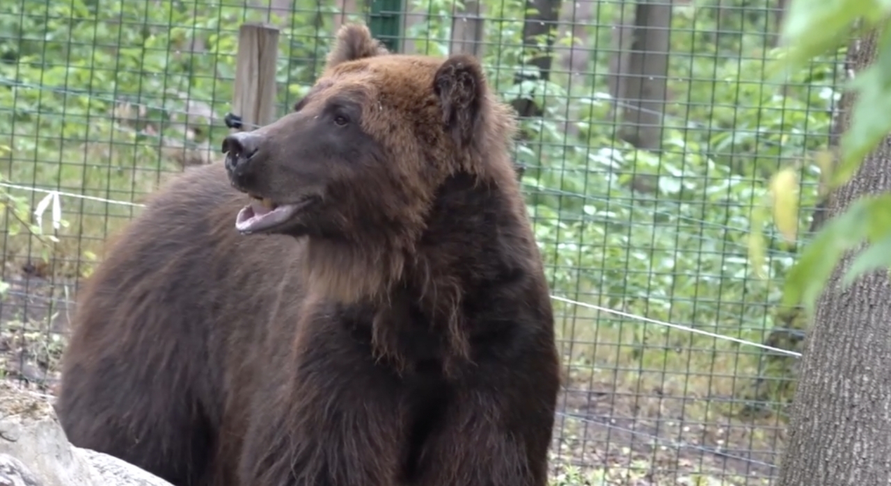 fot. ZOO Poznań Official / Facebook
