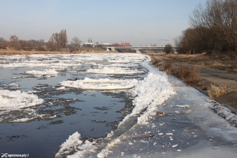 fot. Elżbieta Skowron - archiwum