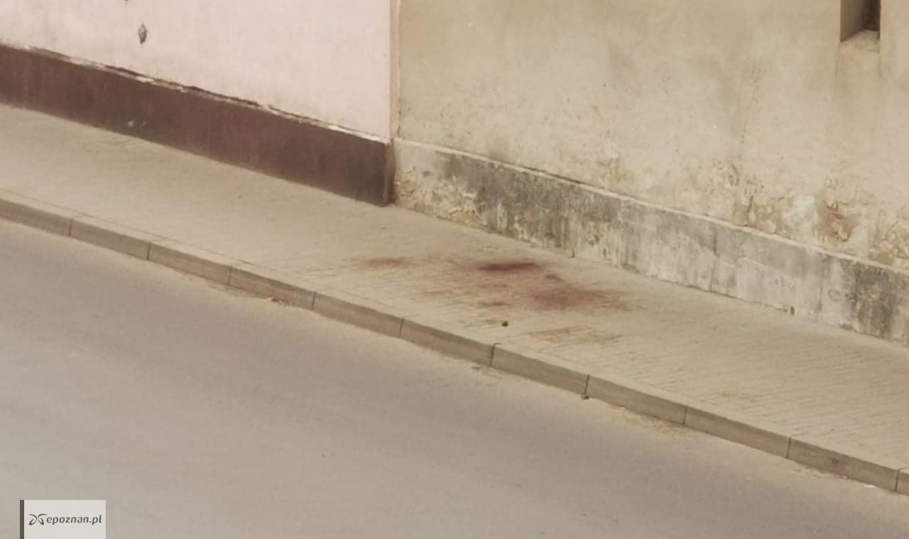 fot. policja