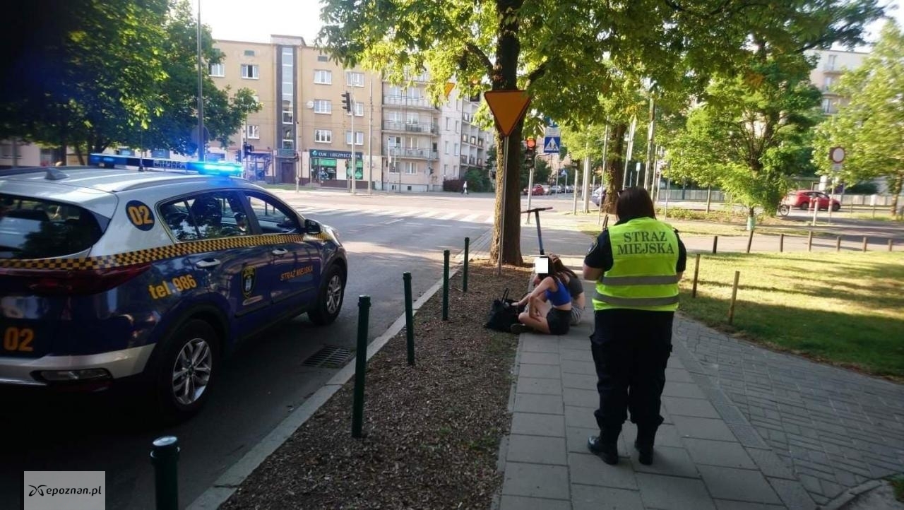 fot. Straż Miejska Miasta Poznań