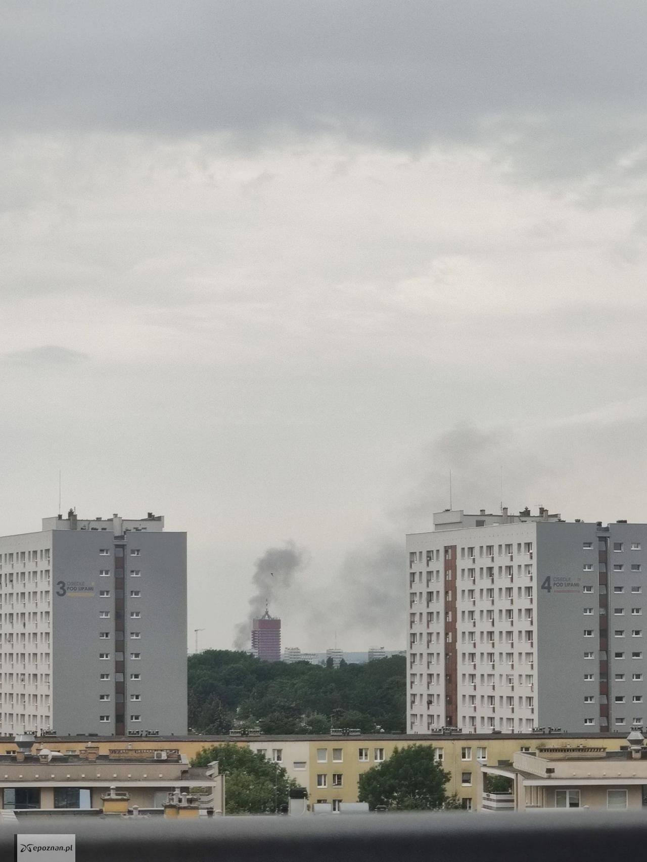 fot. Czytelnik