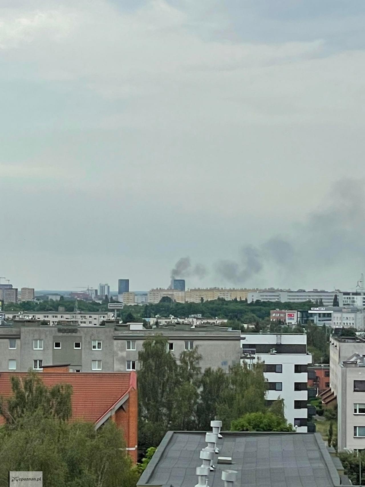 fot. Czytelnik