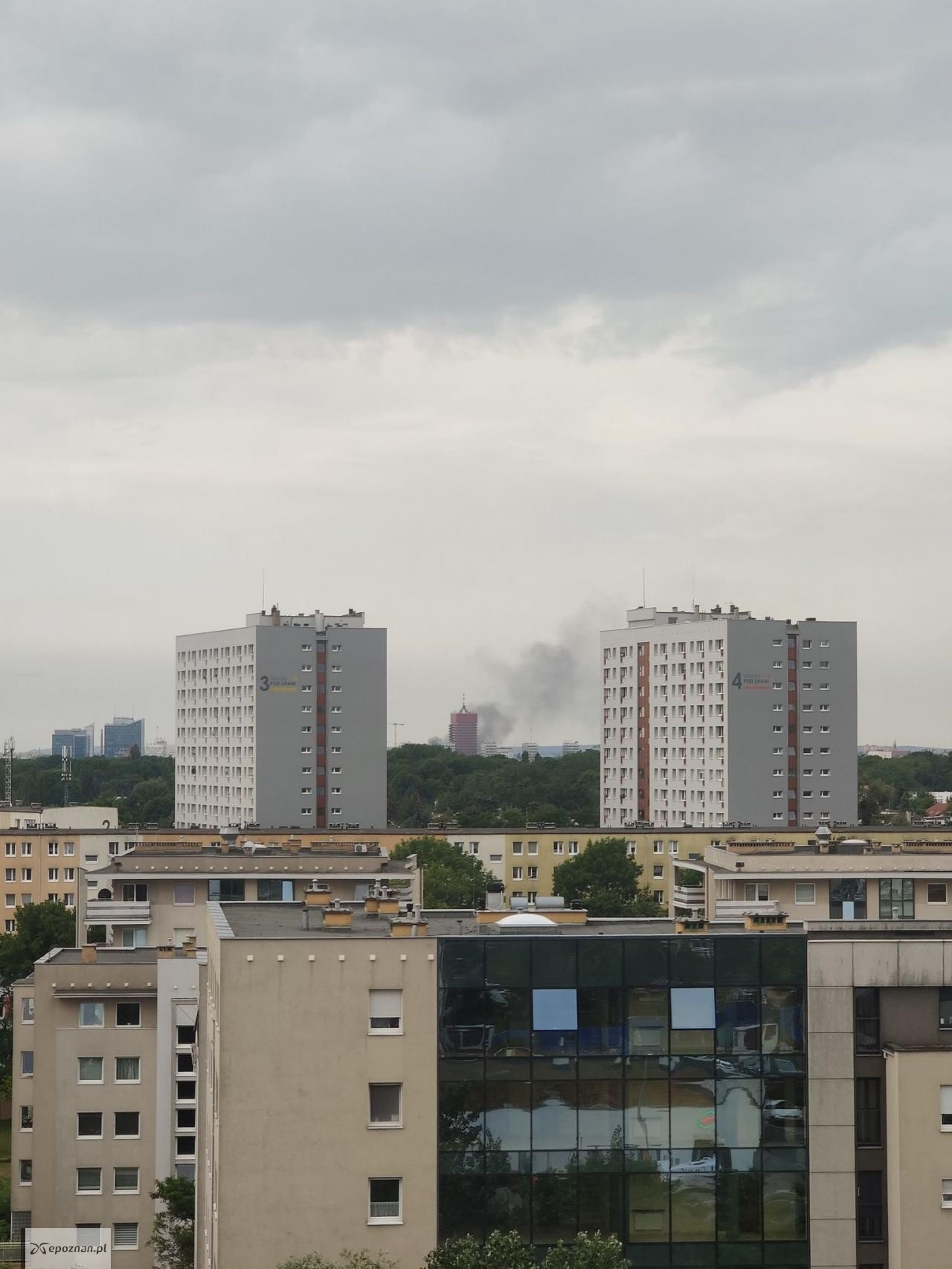 fot. Czytelnik