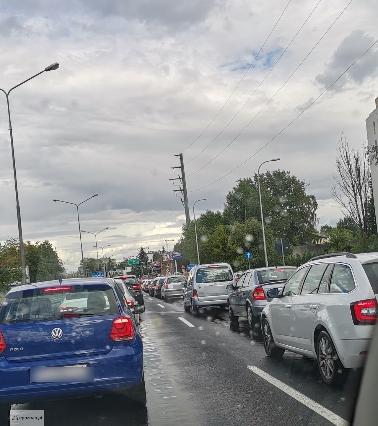 fot. Czytelniczka