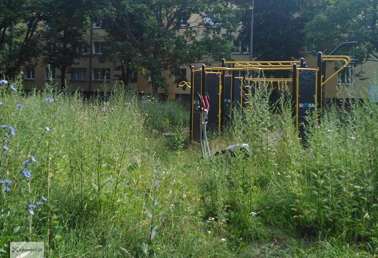 fot. Czytelniczka
