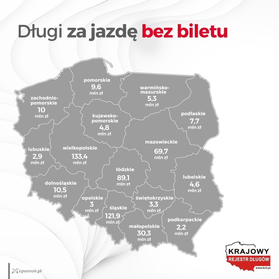 fot. KDR