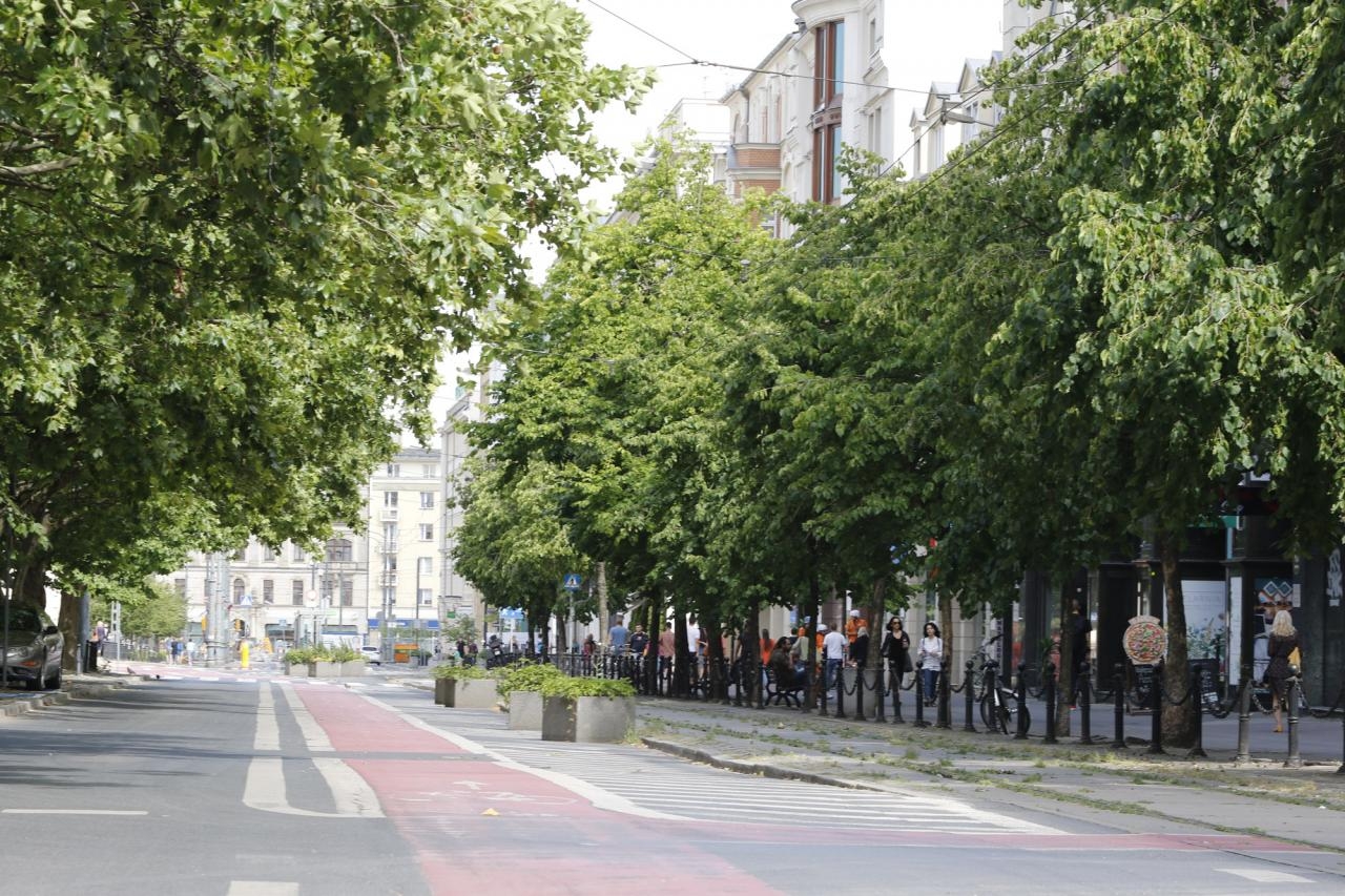 fot. Stowarzyszenie Plac Wolności