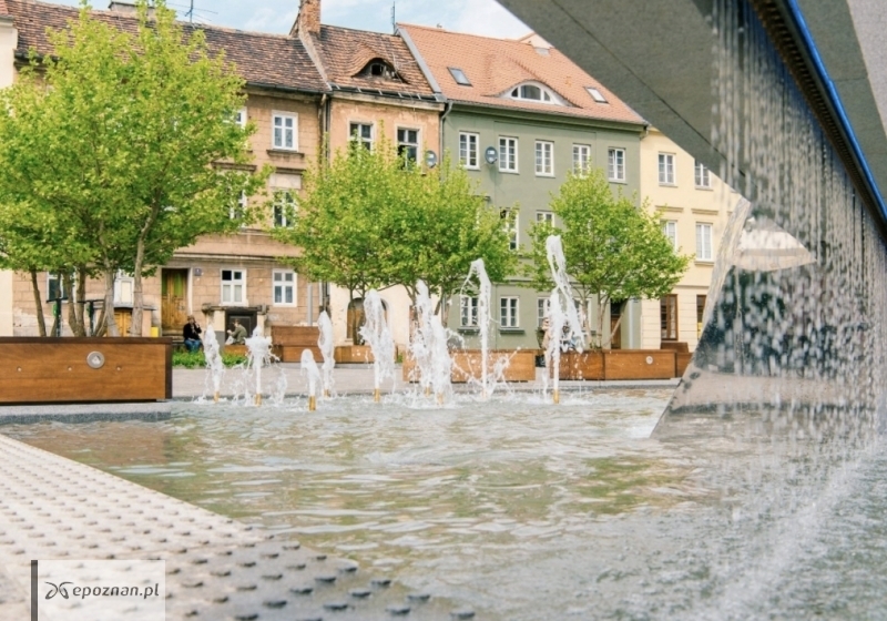 fot. UM Poznań