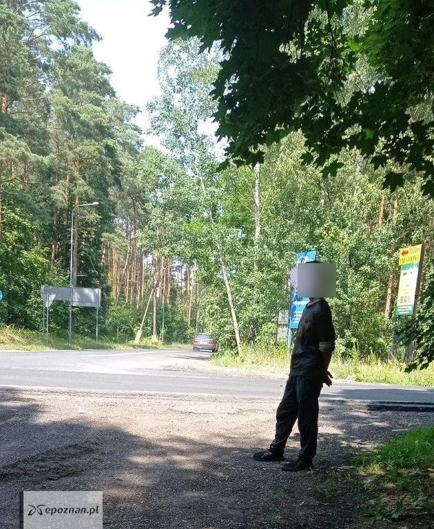 fot. Archiwum Nadleśnictwa Oborniki