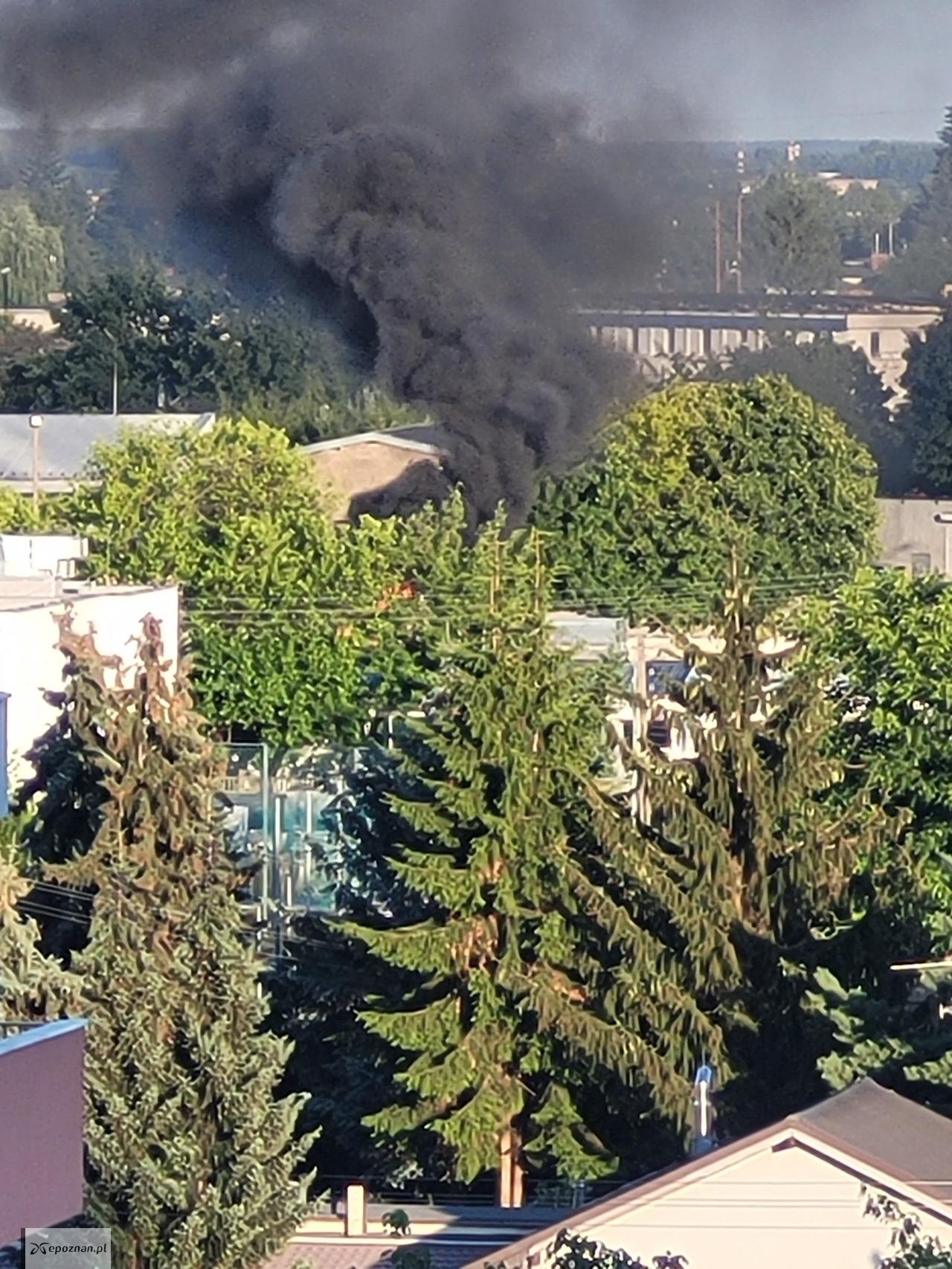 fot. Czytelnik