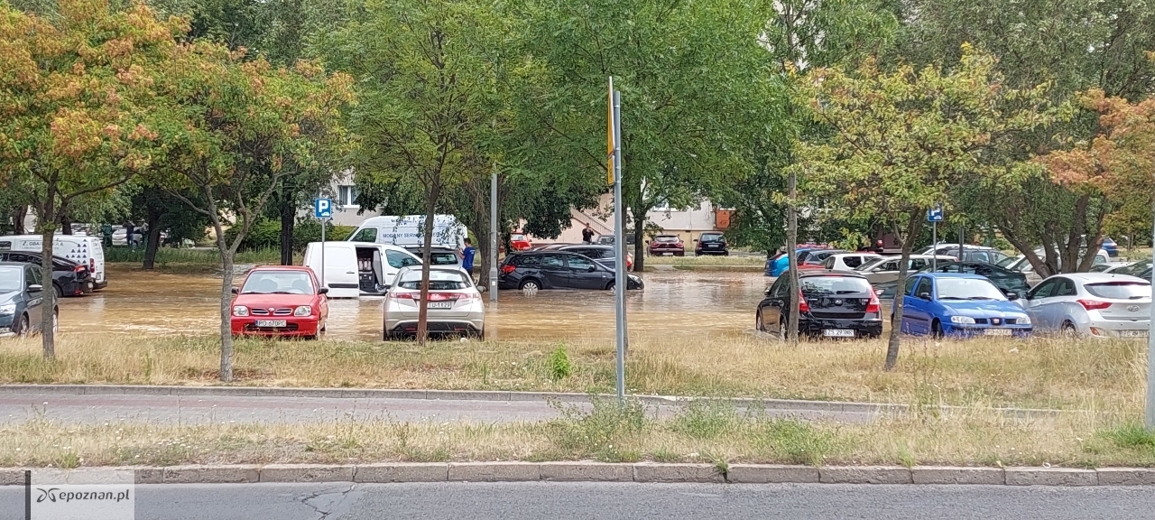 fot. Macjes