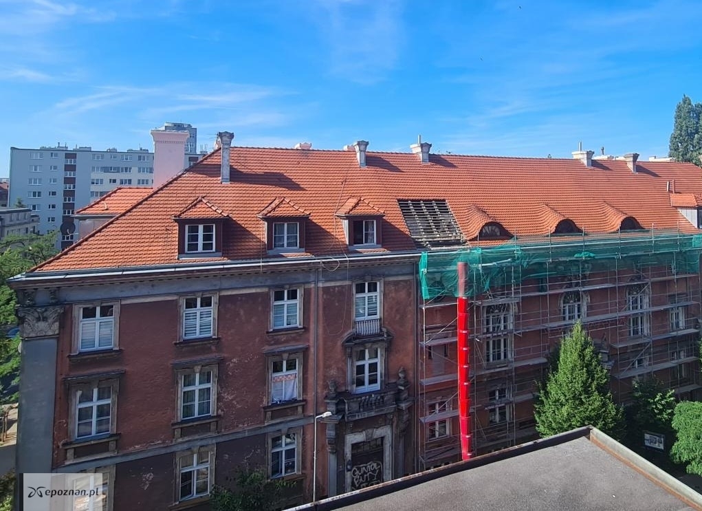 fot. Czytelniczka
