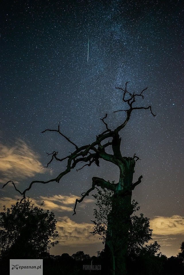 fot. Leszek Bartczak / Piorunująco