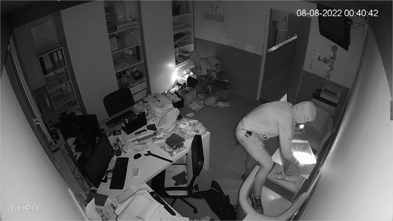 fot. Niepubliczne Przedszkole i Żłobek Poznańskie Maludy FB
