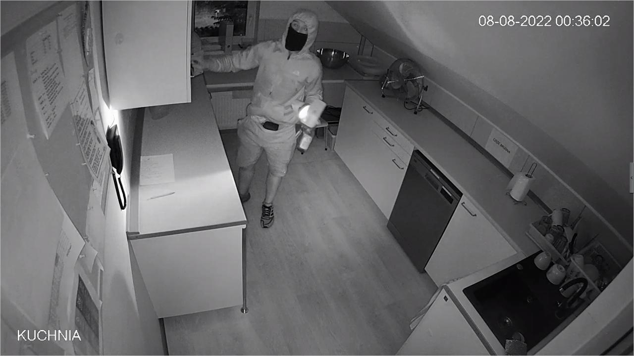 fot. Niepubliczne Przedszkole i Żłobek Poznańskie Maludy FB