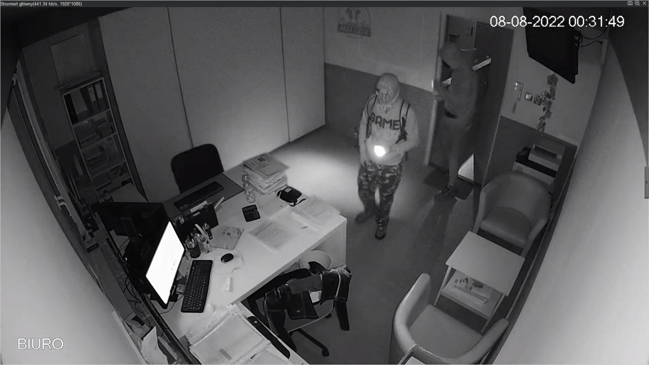 fot. Niepubliczne Przedszkole i Żłobek Poznańskie Maludy FB