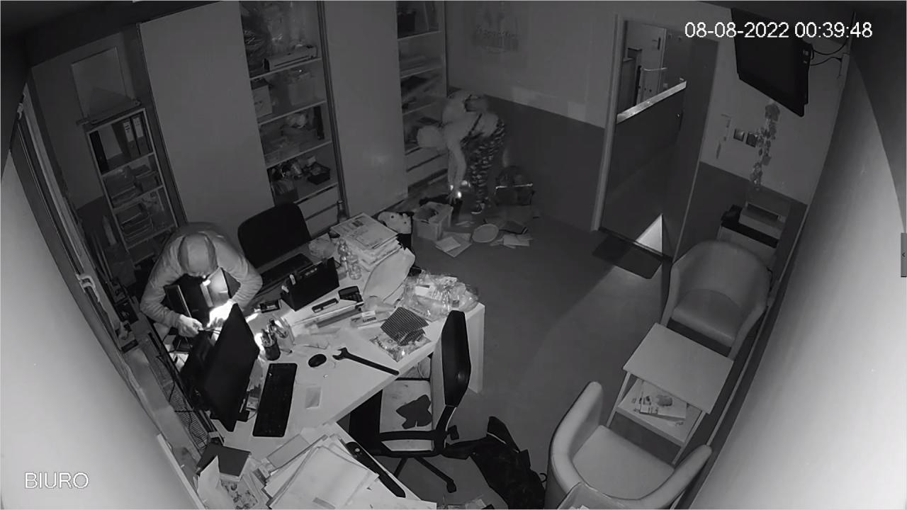 fot. Niepubliczne Przedszkole i Żłobek Poznańskie Maludy FB