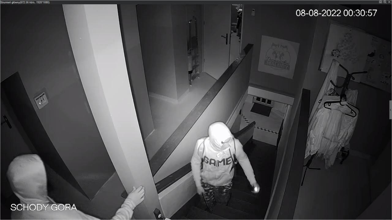 fot. Niepubliczne Przedszkole i Żłobek Poznańskie Maludy FB
