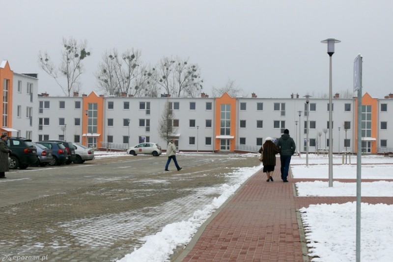 fot. Elżbieta Skowron