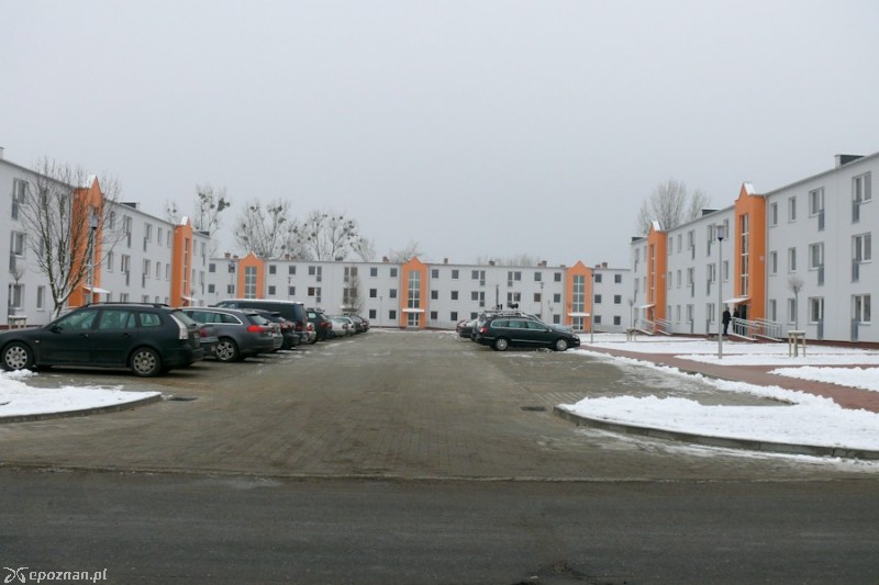 fot. Elżbieta Skowron