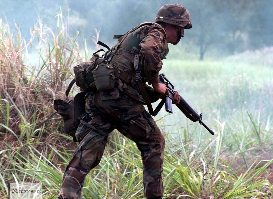 Zdjęcie ilustracyjne. | fot. Defence-Imagery/pixabay.com