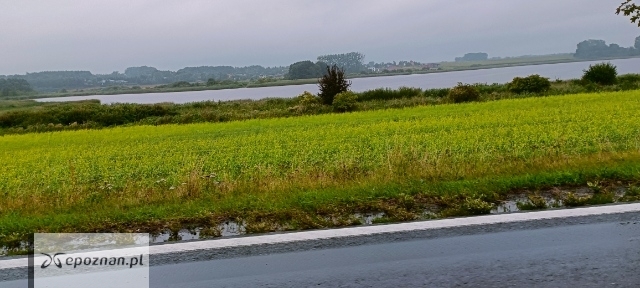 fot. Czytelnik