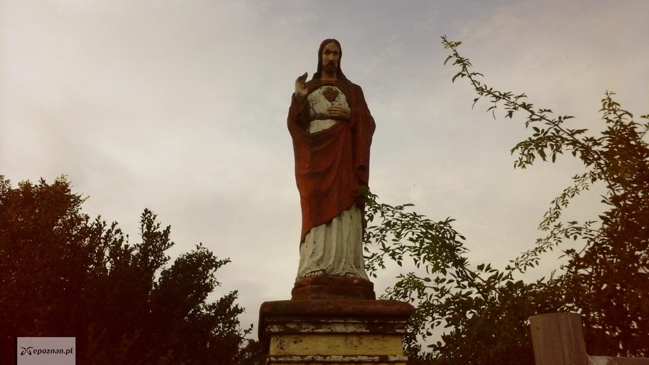 fot. Franciszek Wir