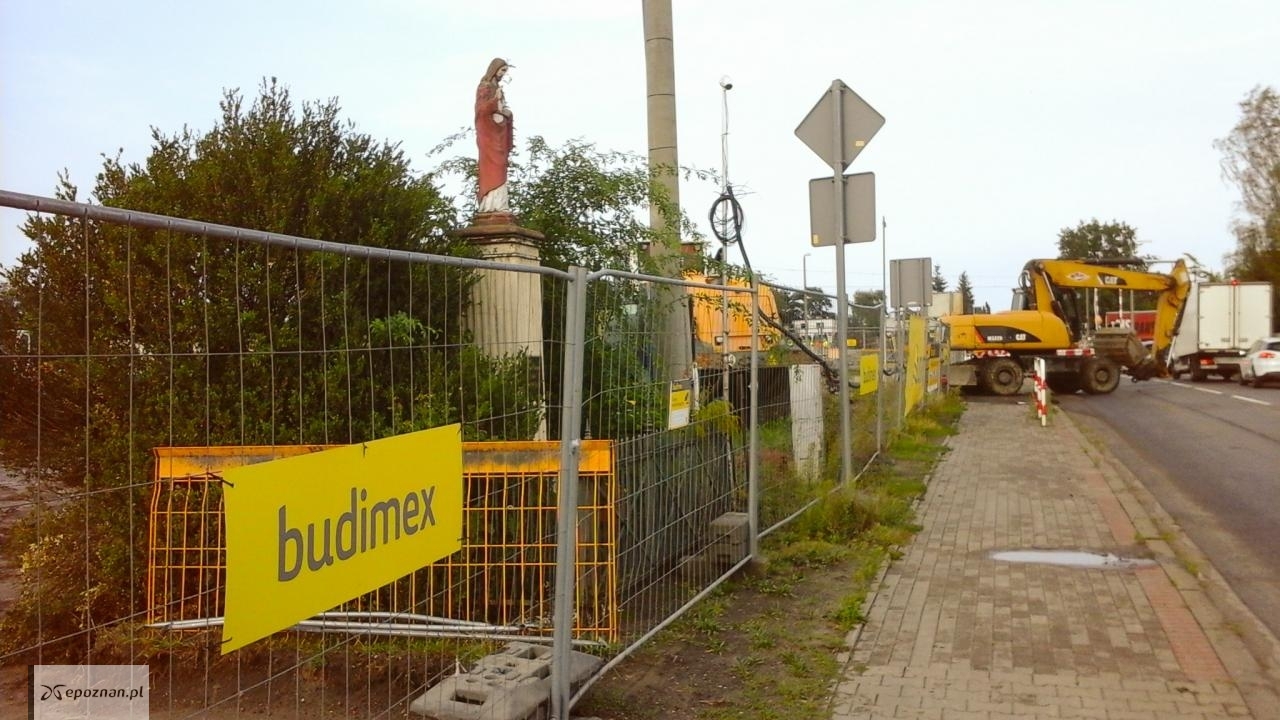 fot. Franciszek Wir