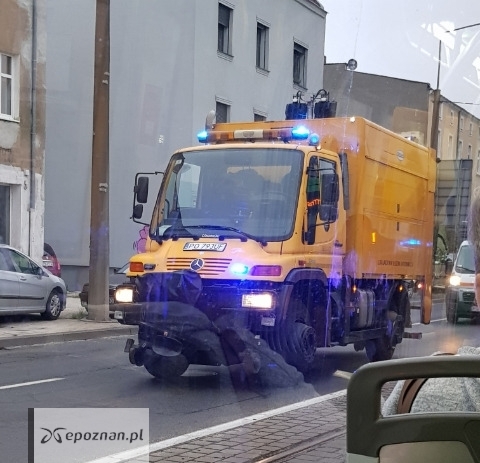 fot. Czytelniczka