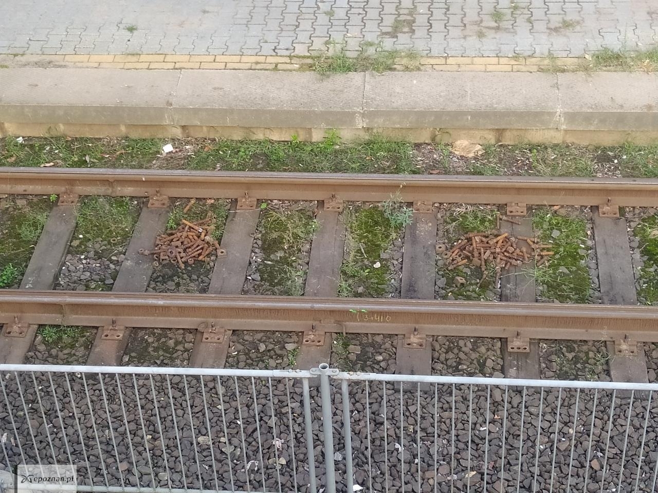 fot. Czytelniczka