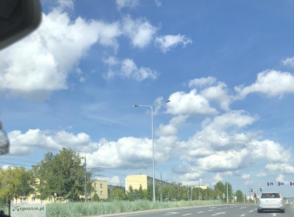 fot. Czytelniczka