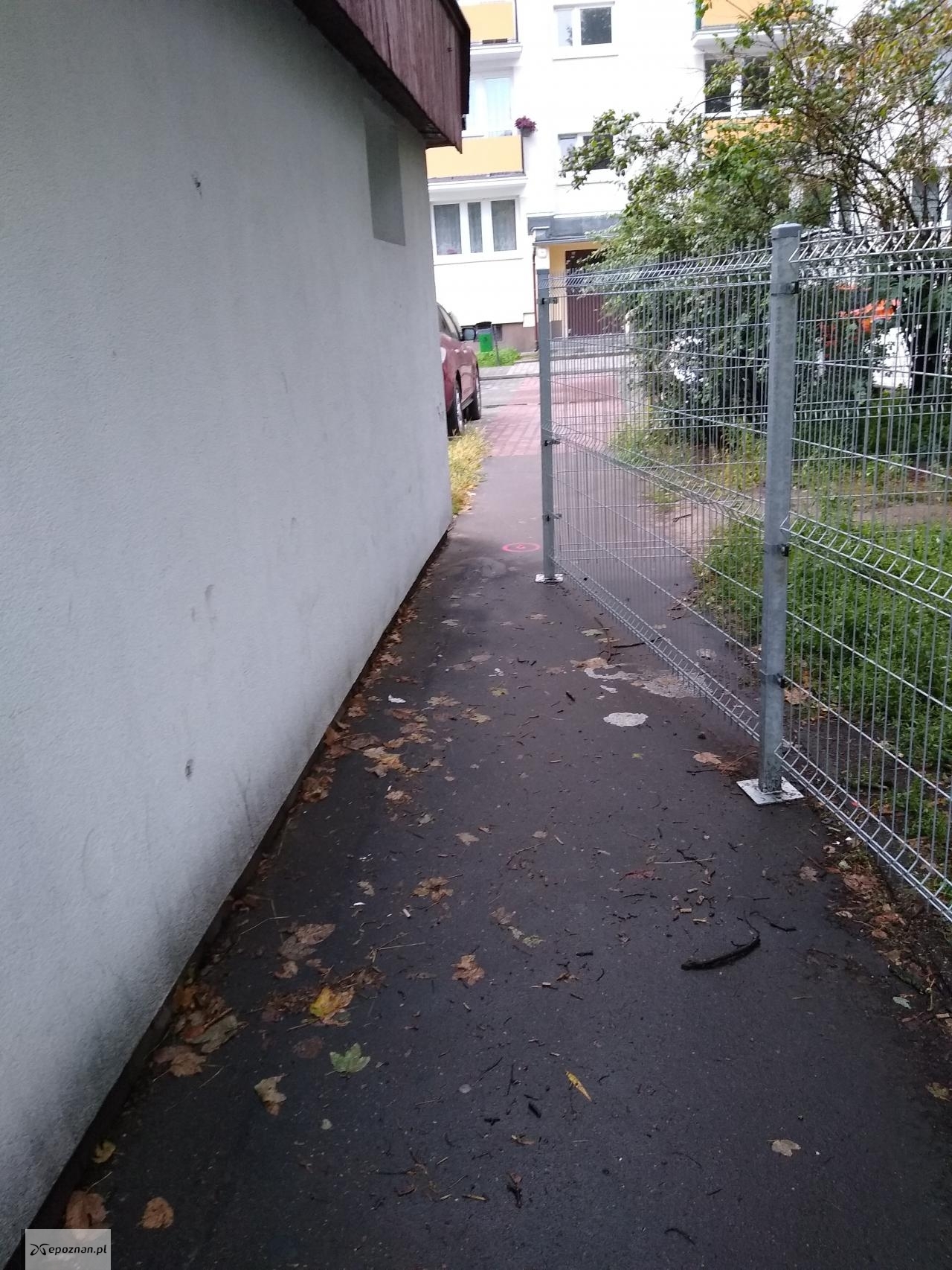 fot. Czytelnik