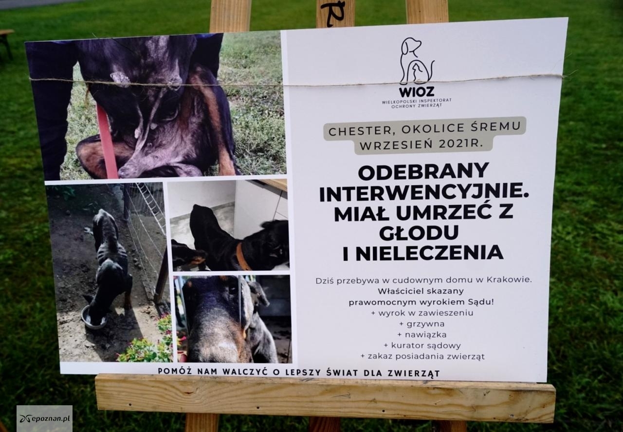 fot. Katarzyna Michalak