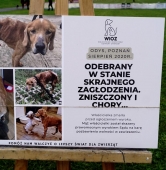 fot. Katarzyna Michalak