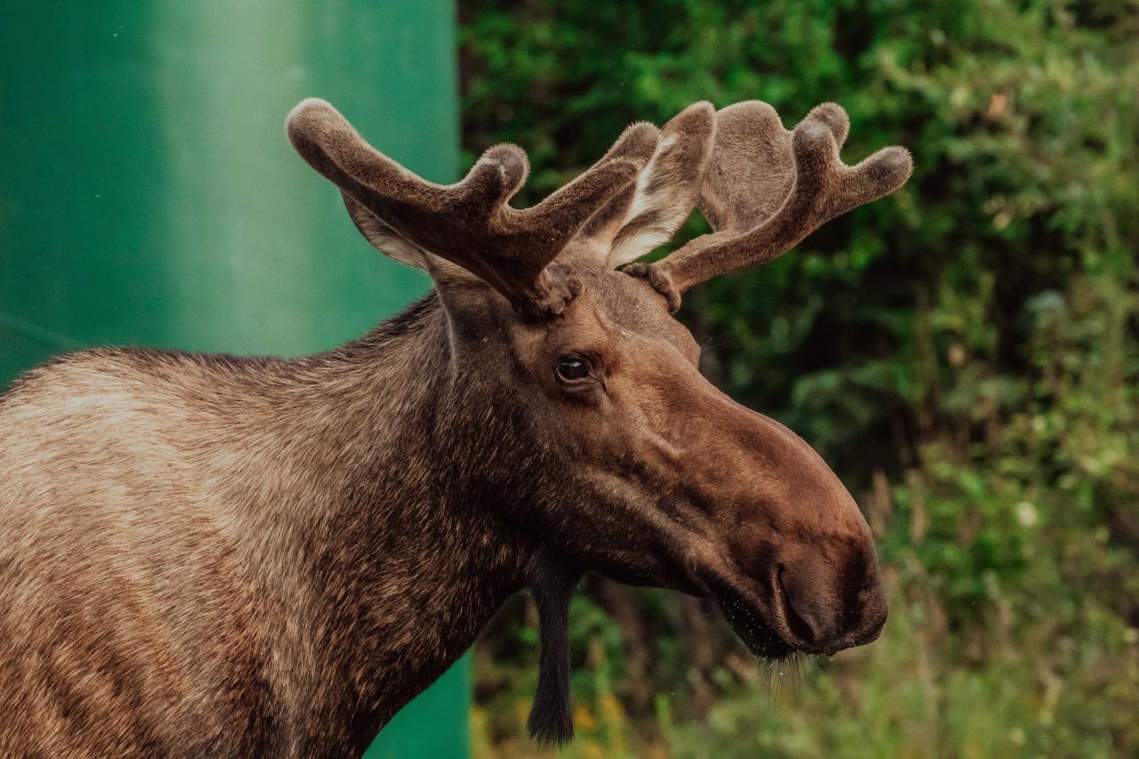 Zdjęcie ilustracyjne | fot. Danika Perkinson / unsplash.com