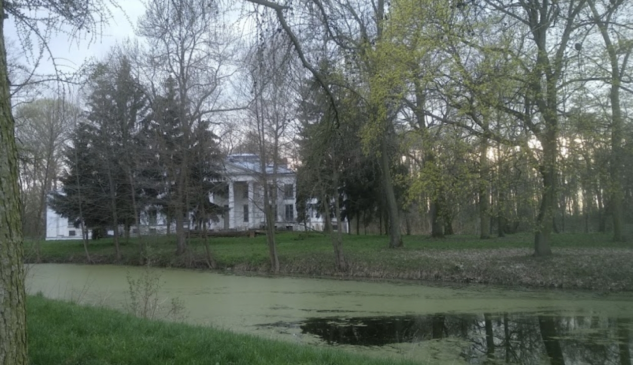 Jeden ze stawów w Dzierzbicach | fot. Google Maps