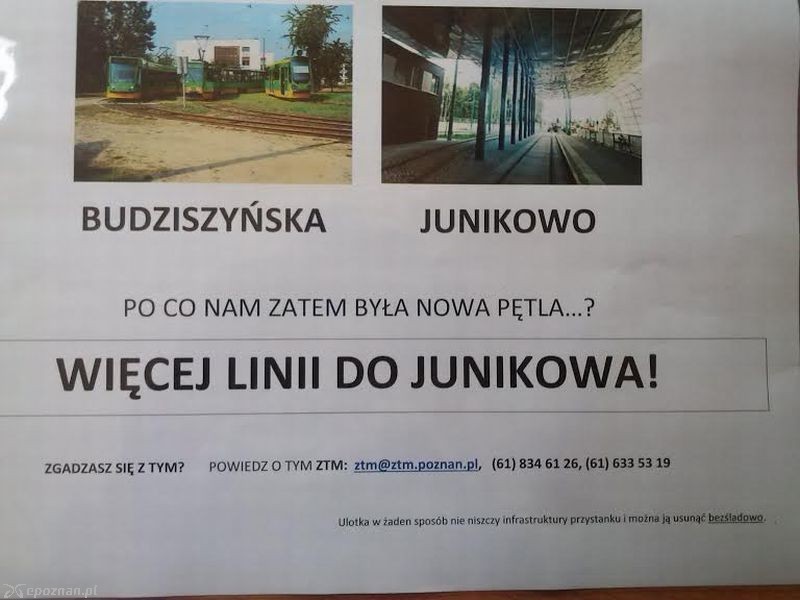 fot. Dariusz