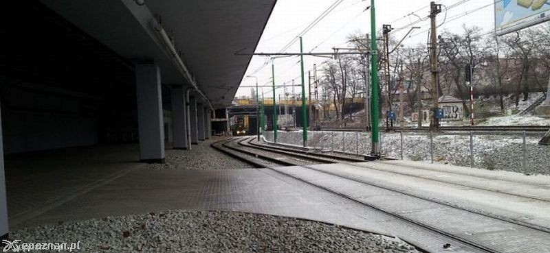 fot. Mateusz Gawarecki