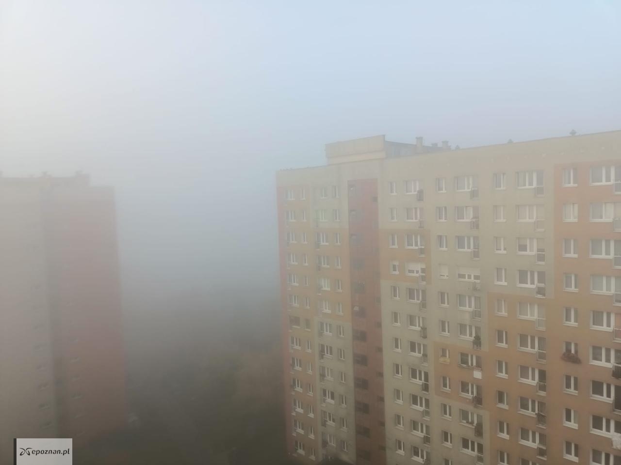 fot. Włodzimierz Hoppel