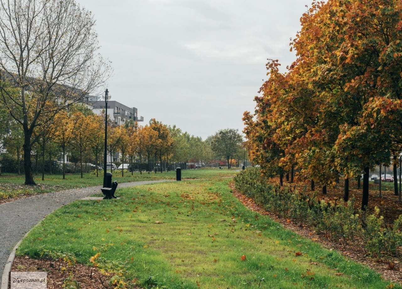 fot. UM Poznań