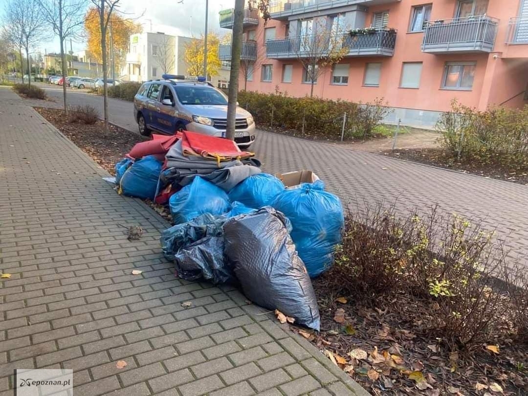 fot. Straż Miejska Miasta Poznania