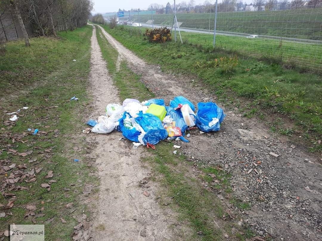 fot. Straż Miejska Miasta Poznania