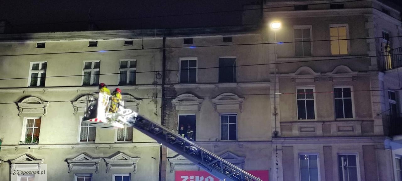fot. Czytelniczka