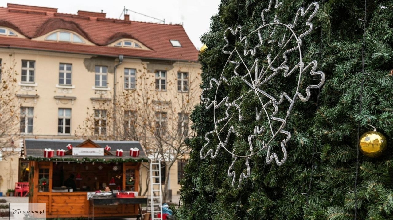 fot. UM Poznań