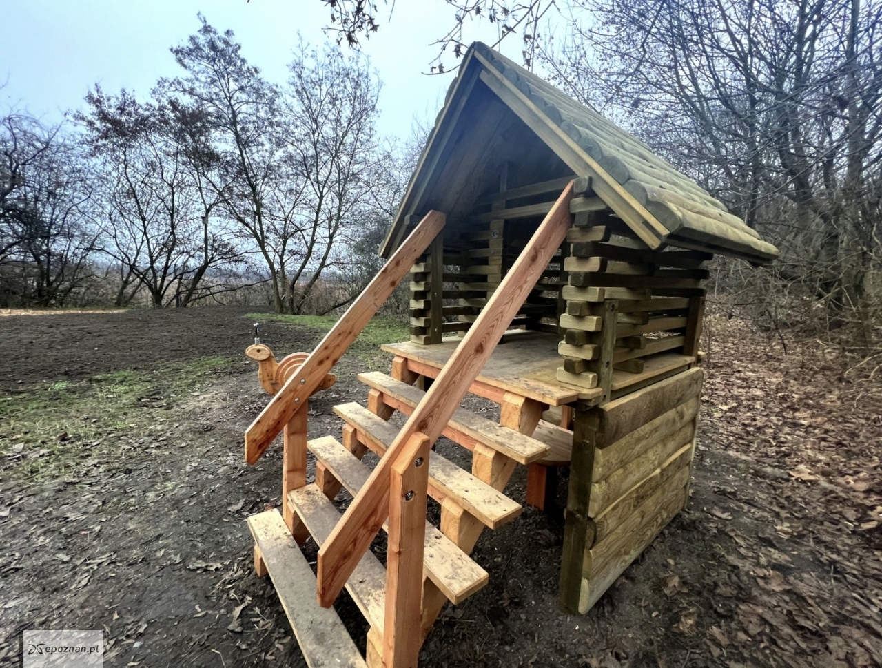 fot. Zarząd Zieleni Miejskiej